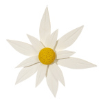 Édelweiss  polystyrène Color: blanc Size:...