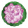 Nénufar florissant  mousse Color: violet/vert Size: Ø 40cm