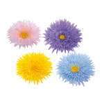 Fleur de gerbera 8x plastique Color: multicolore Size:...