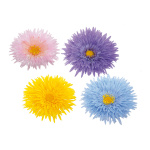 Fleur de gerbera 8x, plastique     Taille: fleur Ø...