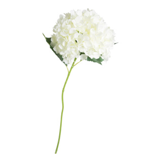 Hydrangea  - Material: artificial silk - Color: white - Size: Ø 22cm X 80cm