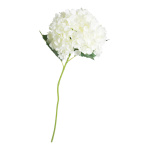 Hydrangea  - Material: artificial silk - Color: white -...
