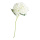 Hortensie Kunstseide     Groesse: Ø 22cm, 80cm - Farbe: weiß