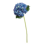 Hortensie Kunstseide     Groesse: Ø 22cm, 80cm - Farbe: blau