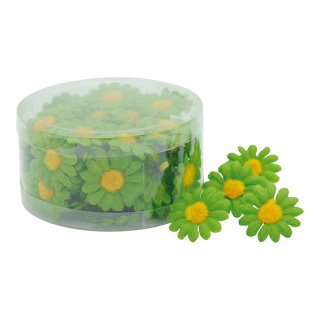 Fleurs de marguerites 60pcs./blister soie artificielle Color: vert Size: Ø 35cm
