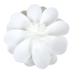 Water lily  - Material: made of foam - Color: white -...