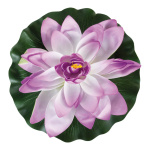 Seerose, blühend,  Größe: Ø 60cm, Farbe: violett/grün