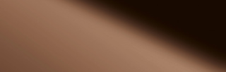 Wanddekorplatte DM Copper qm: 2,6  Abmessung [mm]: 2600x1000x1 Wandpaneel-Blickfang  in mehreren Ausführungen