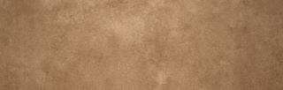 Wanddekorplatte SELBSTKLEBEND DM Classy Bronze qm: 2,6  Abmessung [mm]: 2600x1000x1 Wandpaneel-Blickfang  in mehreren Ausführungen - Wandtapete