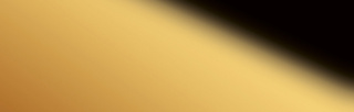 Wanddekorplatte SELBSTKLEBEND DM Gold MMS   NEWS 2018 qm: 2,6  Abmessung [mm]: 2600x1000x1 Wandpaneel-Blickfang  in mehreren Ausführungen - Wandtapete