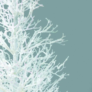 Korallenbaum Kunststoff, mit Glitter Abmessung: 90cm Farbe: perlmutt