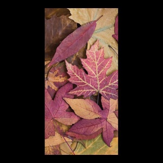 Banner "Autumn Leaves" fabric - Material:  - Color: red/brown - Size: 180x90cm