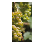 Banner "Grapes"  - Material: fabric - Color:...