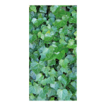 Banner "Wall with ivy" paper - Material:  -...