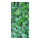 Banner "Wall with ivy" paper - Material:  - Color: green - Size: 180x90cm