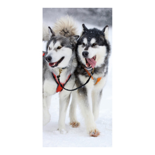 Motivdruck "Huskies" Papier, Größe: 180x90cm Farbe: grau/weiß   #   Info: SCHWER ENTFLAMMBAR