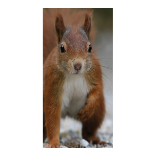 Motivdruck »Eichhörnchen« Stoff Abmessung: 180x90cm Farbe: braun #   Info: SCHWER ENTFLAMMBAR