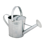Zinc watering can with handles 35x18x26cm Color: silver
