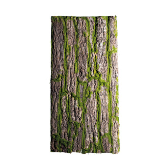 Baumrindenplatte bemoost, mit echter Baumrinde     Groesse: 100x50cm    Farbe: natur