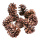 Pine cones natural material - Material: approx. 25 pcs./box - Color: brown - Size: