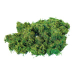 Moss in bag 250 g for scattering     Size:     Color: green