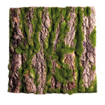 Bark plate covered with moss, with real bark     Size:...