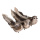 Sparrows with clip with feathers natural - Material: set of 3 pieces - Color: brown - Size: 16cm
