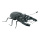 Stag beetle made of styrofoam - Material:  - Color: black/brown - Size: 45x20x14cm
