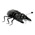 Stag beetle made of styrofoam - Material:  - Color:...