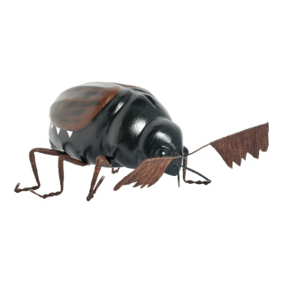 Cockchafer made of styrofoam - Material:  - Color: black - Size: 25x13x15cm