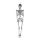 Skelett mit Hänger, beweglich, aus Kunststoff, Größe: 165cm Farbe: silber