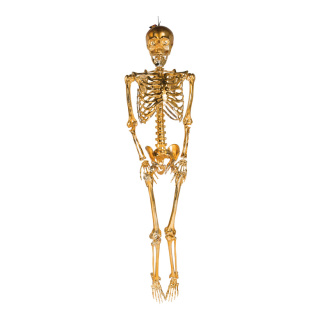 Skelett mit Hänger, beweglich, aus Kunststoff, Größe: 95cm Farbe: gold