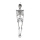 Skelett mit Hänger, beweglich, aus Kunststoff, Größe: 95cm Farbe: silber