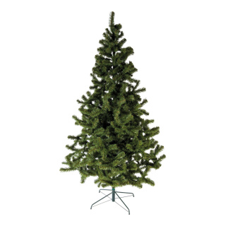 Noble fir with stand 518 tips - Material: Ø155cm - Color: green - Size: 240cm
