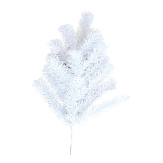 Noble fir twig 16 tips - Material:  - Color: white - Size: 60cm