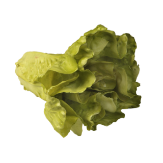 Salatkopf natural hellgrün Ø 20 x 15 cm (689020)