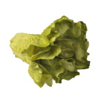Salatkopf natural hellgrün Ø 20 x 15 cm