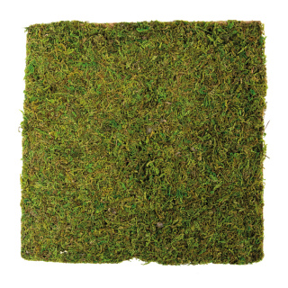 Moosplatte Naturmoos, mit Papierunterlage     Groesse: 30x30cm - Farbe: natur
