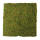 Plaque de mousse  mousse naturelle sur support en papier Color: nature Size: 30x30cm