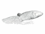 ACCESSORY Confetti, UV-active white, 7mm 10kg