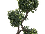 EUROPALMS Ficus spiral trunk, artificial plant, 160cm