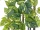 EUROPALMS Potho bush tendril maxi, artificial, 90cm
