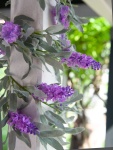 EUROPALMS Flowering Garland, artificial, pink,180cm