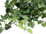 EUROPALMS Pothos bush tendril classic, artificial, 60cm