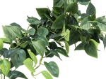 EUROPALMS Pothos bush tendril classic, artificial, 100cm