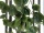 EUROPALMS Philo bush classic, artificial, 60cm