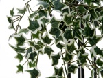 EUROPALMS Holland ivy bush tendril classic, artificial, 60cm