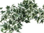EUROPALMS Holland ivy bush tendril classic, artificial, 100cm