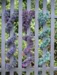 EUROPALMS Lavender Garland, artifical, blue, 180cm