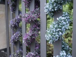 EUROPALMS Lavender Garland, artificial, pink, 180cm
